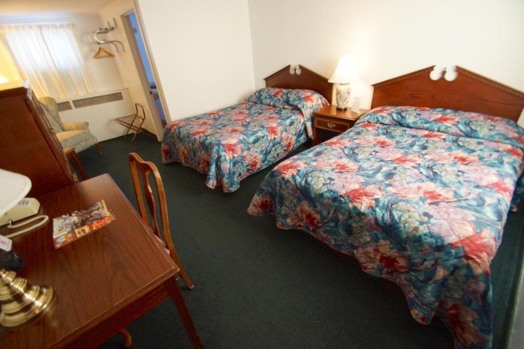 Birds Nest Motelスカニースルズ 部屋 写真